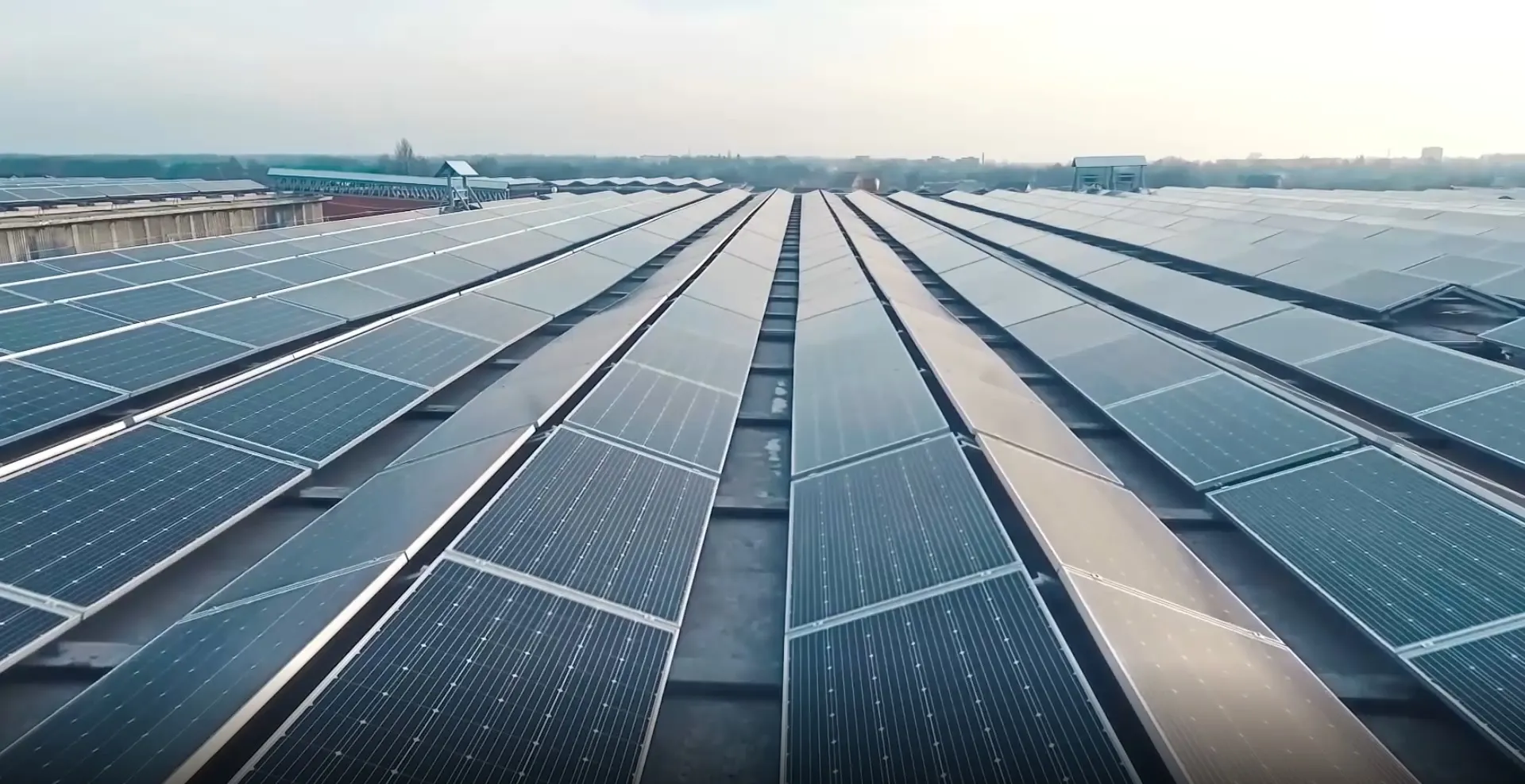 Lange rijen zonnepanelen op een bedrijfsdak